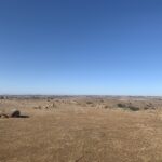 IMG_0877