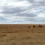 Waddi pic update - smaller