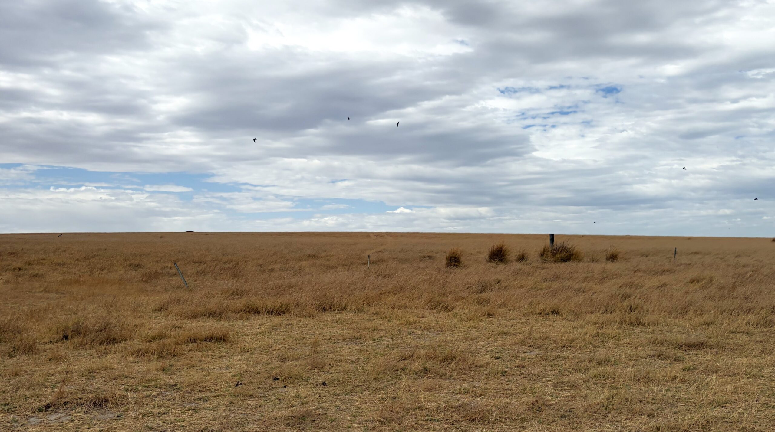 Waddi pic update - smaller