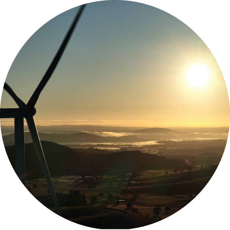 RyePark Circle800x800