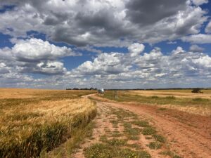 Central Midlands Wind Farm